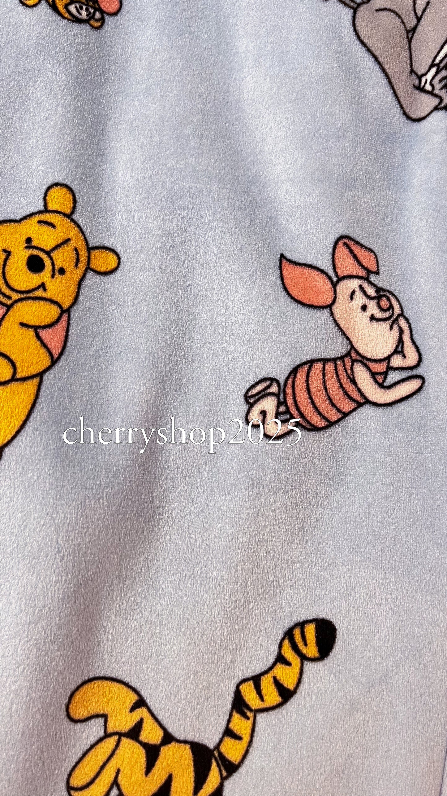 Blue Winnie the Pooh PJ